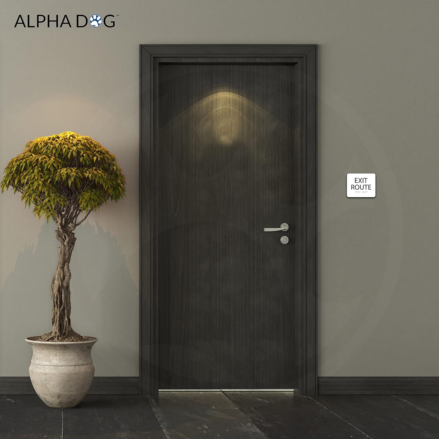 ALPHA DOG ADA SIGNS - Exit Route Sign with Braille for Your Business, 5x6 Inch, ADA Compliant, Indoor or Outdoor, Easy Installation, Made in the USA, White
