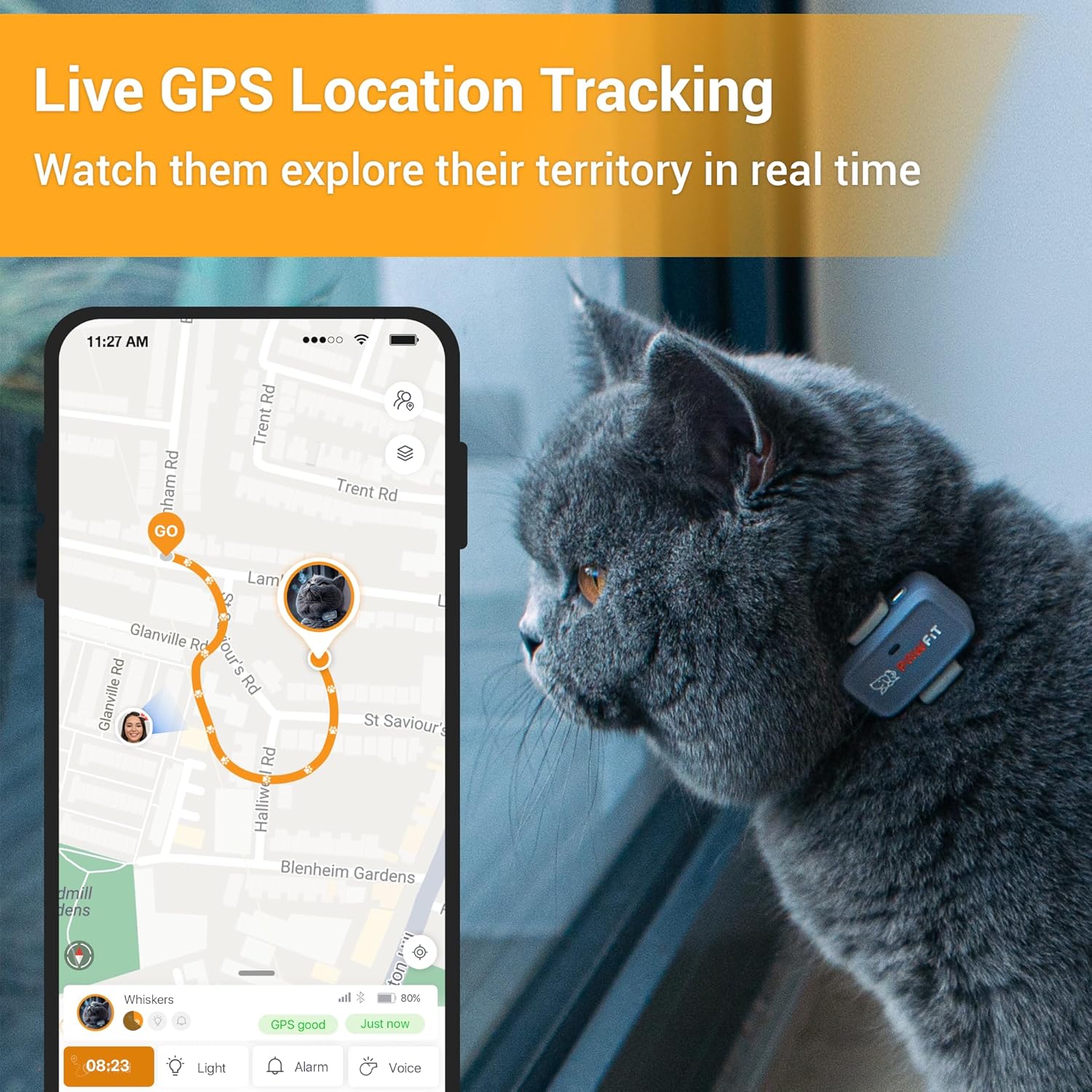 Pawfit Lite for Cats 4g GPS Tracker | Ultra-Small (<18g) Design | Real-Time Tracking | Activity Monitoring | Location History | Unlimited Range | Safety Collar Included | Lilac Grey