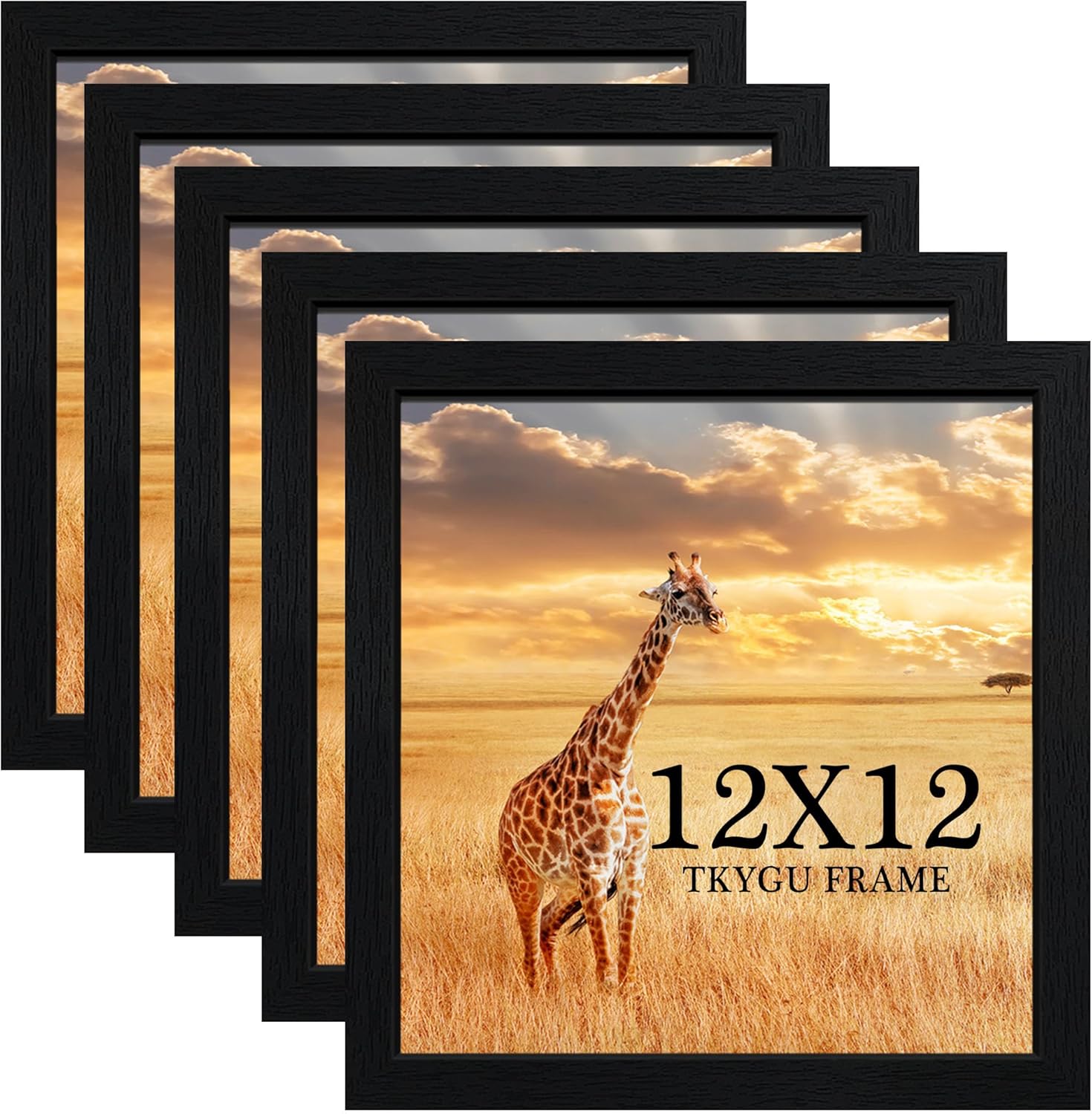 12x12 Picture Frame Set of 5, Black Wooden Frame 12x12 Square Wall Gallery Poster Photo frame with Durable Shatter Resistant Plexiglass,Horizontal and Vertical Formats for Wall Hanging best gift