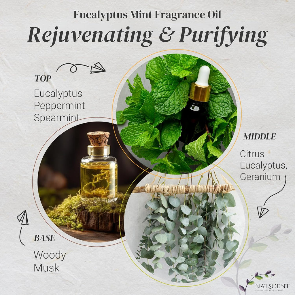 Eucalyptus Mint Essential Oils for Diffusers for Home, Nature-Based Eucalyptus Essential Oil, Long-Lasting & Family-Friendly Diffuser Oils Scents, IFRA Certified, Cold Air & Ultrasonic-16 oz