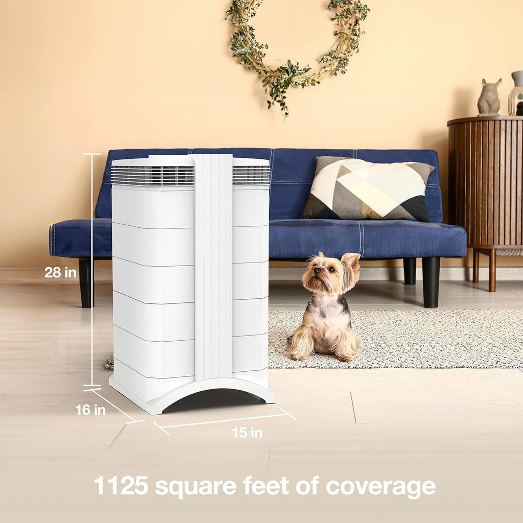 IQAir HealthPro Plus XE Air Purifier - 3-Pack- Smart HyperHEPA Filtration for Large Rooms up to 3375 sq ft - Viruses, Allergens, Smoke, Mold, Dust, Pet Dander, Swiss Made, WiFi Enabled