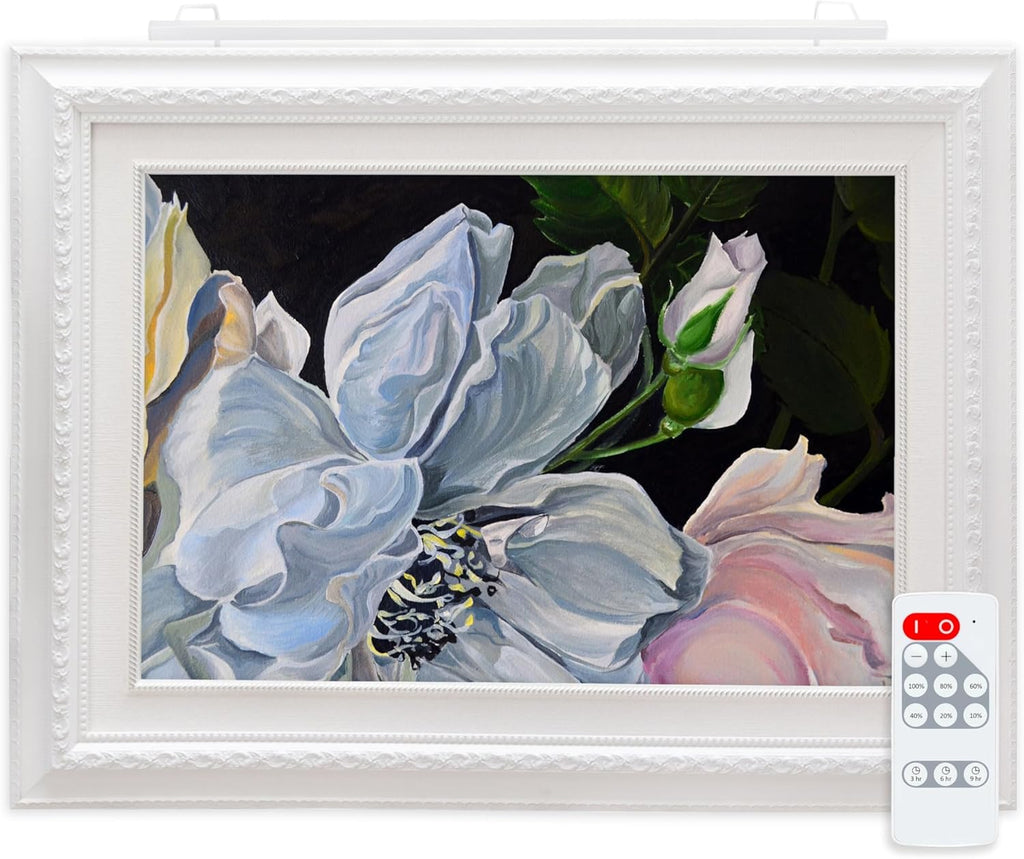 Situ Lighting: Plug-in Vision Series Remote Controlled LED Art and Picture Light - USA Made - 3000K