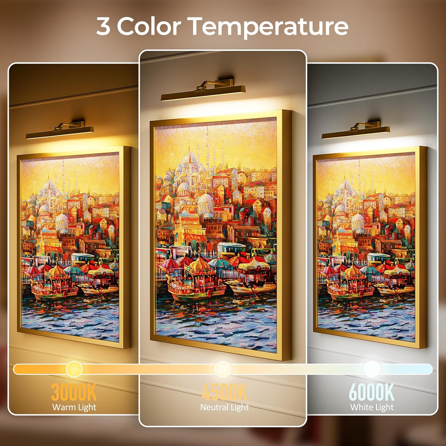 Picture Lights for Wall, Battery Operated Picture Light 24in Gallery Light for Paintings CCT Dimmable Recharging Battery Wall Light with Remote Control for Living Room Gallery Dartboard