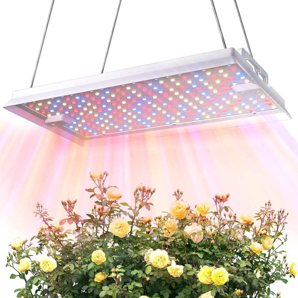 Plant Grow Light, [Smart APP 2x3 Ft Coverage] Genuine 100W Output LED Full Spectrum for Indoor Plants, 8-Level Brightness (Use Daisy-Chaining Hanging, Only Light Panel，No Control Panel)