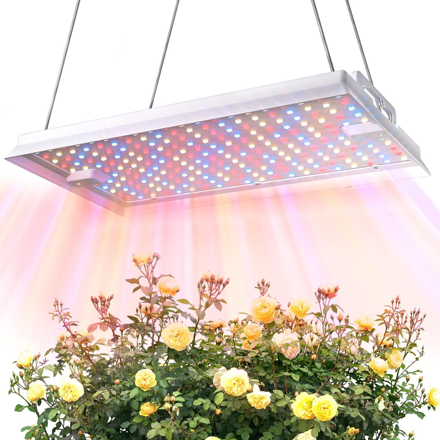 Plant Grow Light, [Smart APP 2x3 Ft Coverage] Genuine 100W Output LED Full Spectrum for Indoor Plants, 8-Level Brightness (Use Daisy-Chaining Hanging, Only Light Panel，No Control Panel)