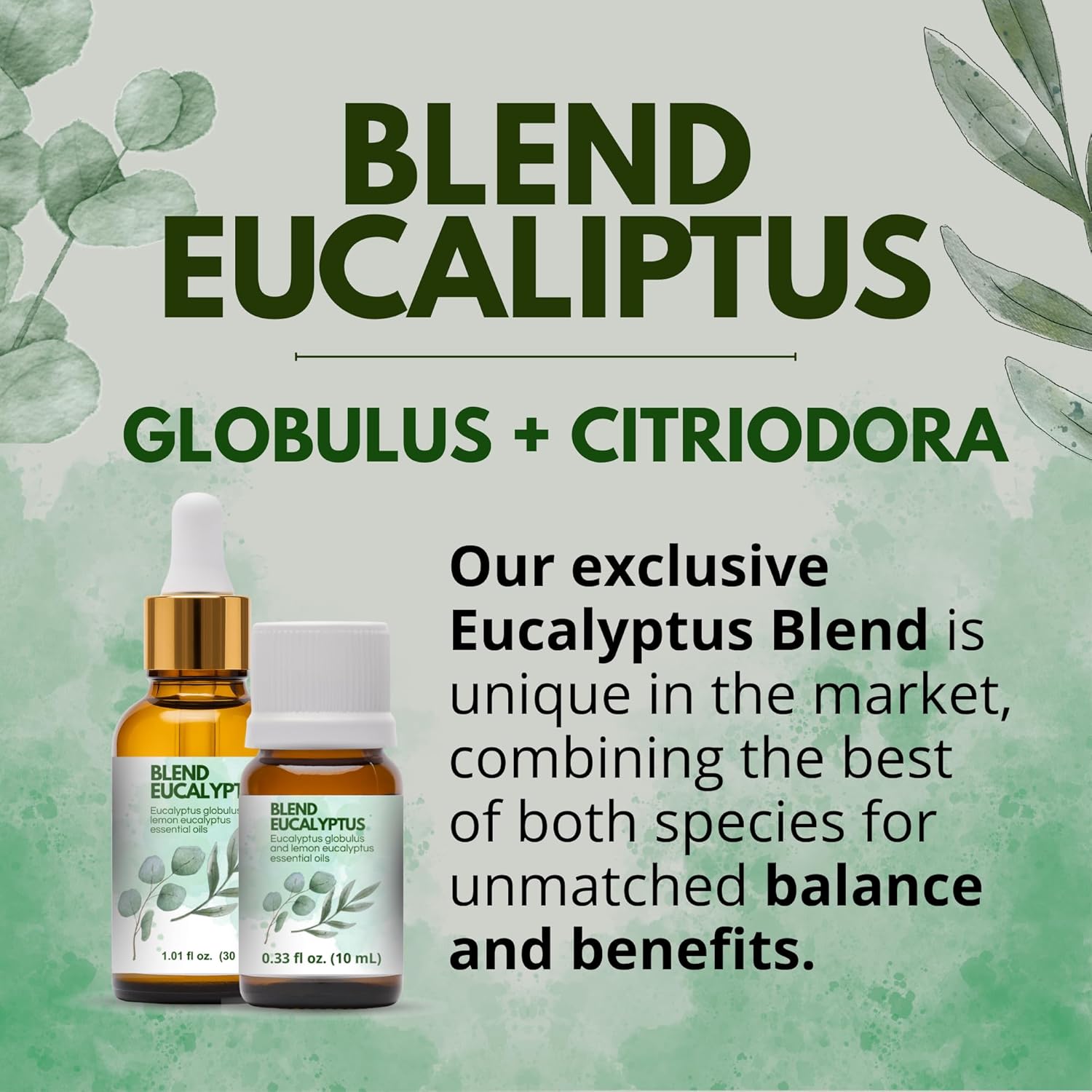 Dual Eucalyptus Essential Oil Blends by One Arome – Eucalyptus Oil (Corymbia Citriodora - Lemon & Eucalyptus Globulus) | Oil for Diffusers, Massage (Dilute) & DIY (Pack of 4 × 0.34 fl oz Each)