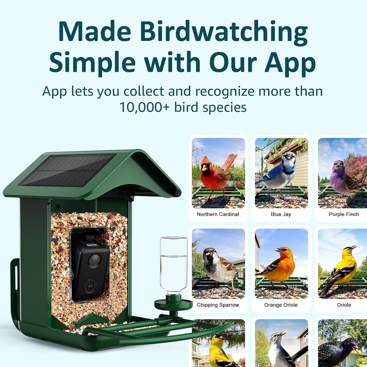 BIRDLEGEND® Bird Feeder with Camera Solar Powered, 2K Portrait Live Free AI Forever Instant Arrival Alerts with 64GB Card, Smart Camera Birds Feeders Wireless Outdoor Gift for Bird Lover, 2.4G WiFi