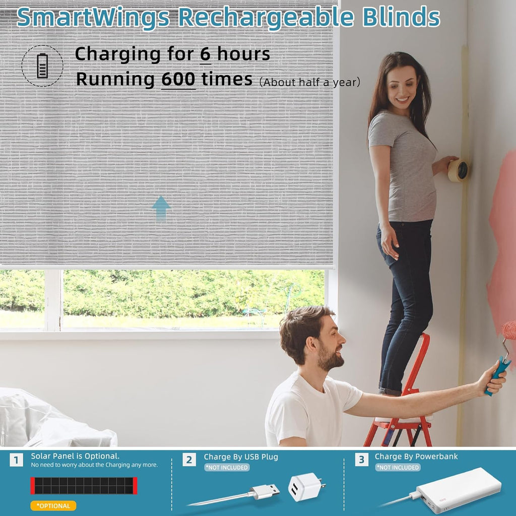 SmartWings Motorized Smart Roller Shades in Light Filtering, Electric Blinds with Remote for Windows Compatible with Alexa/Google Home/Homekit, Customized, Safari Translucent Smoke