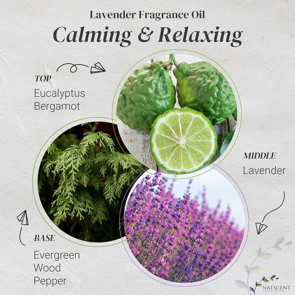 Lavender Essential Oils for Diffusers for Home, Nature-derived Lavender Essential Oil, Long-Lasting & Family-Friendly Diffuser Oils Scents, IFRA Certified, Cold Air & Ultrasonic - 0.33 oz