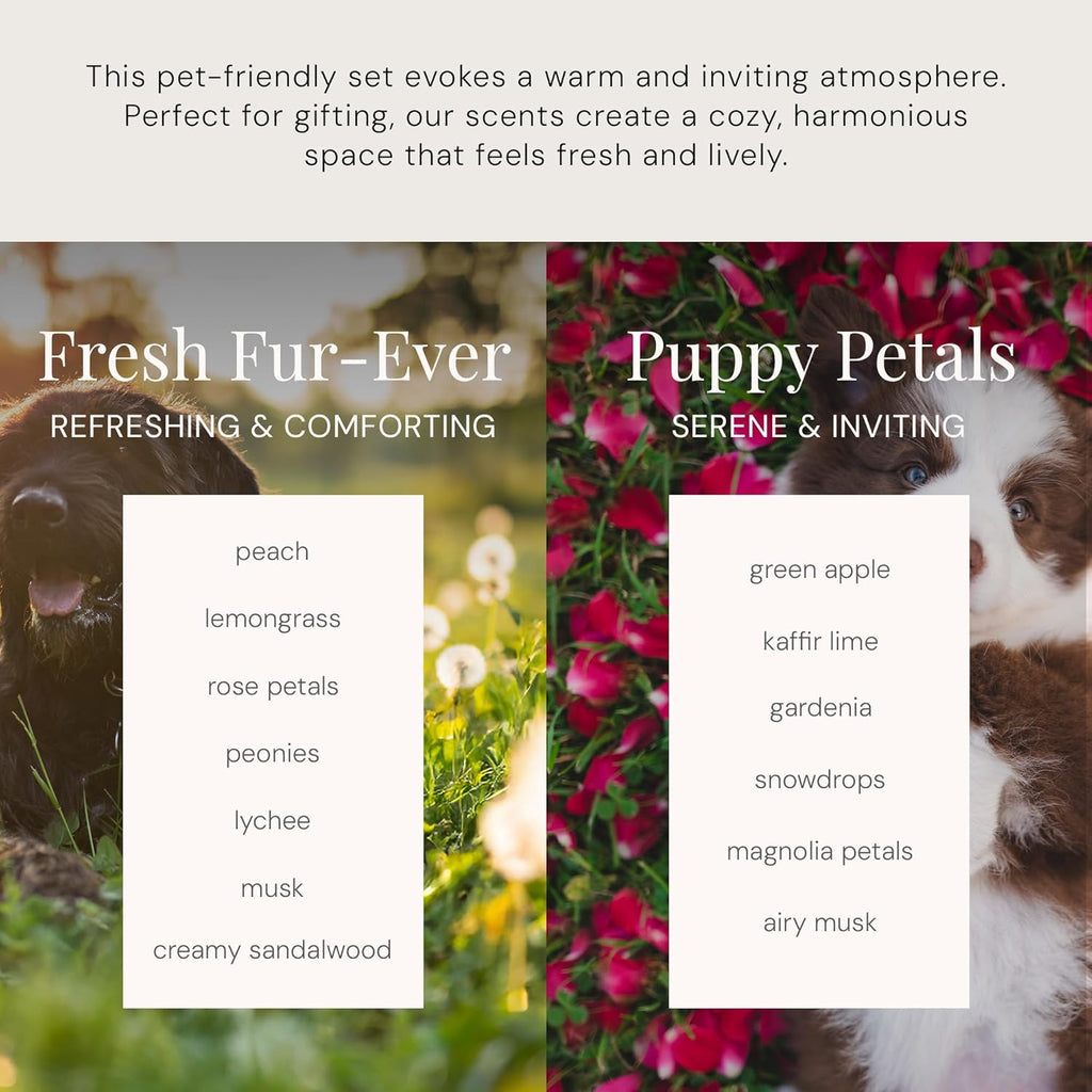 Air Esscentials The Diamond Gift Set, Pet-Preffered Smart Scent Air Machine for Home, Bluetooth Controlled, Waterless Fragrance Oil Diffuser, Puppy Petals & Fresh Fur-Ever Scents, White