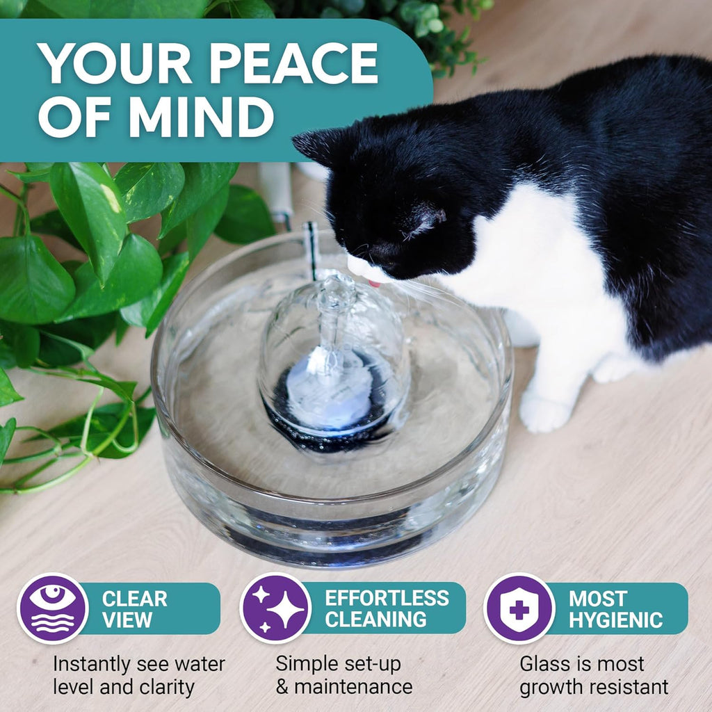 Brook Glass Pet Fountain (90oz/2.7L) – Cat & Dog Water Fountain – Glass Cat Fountain & Automatic Water Dispenser for Drinking