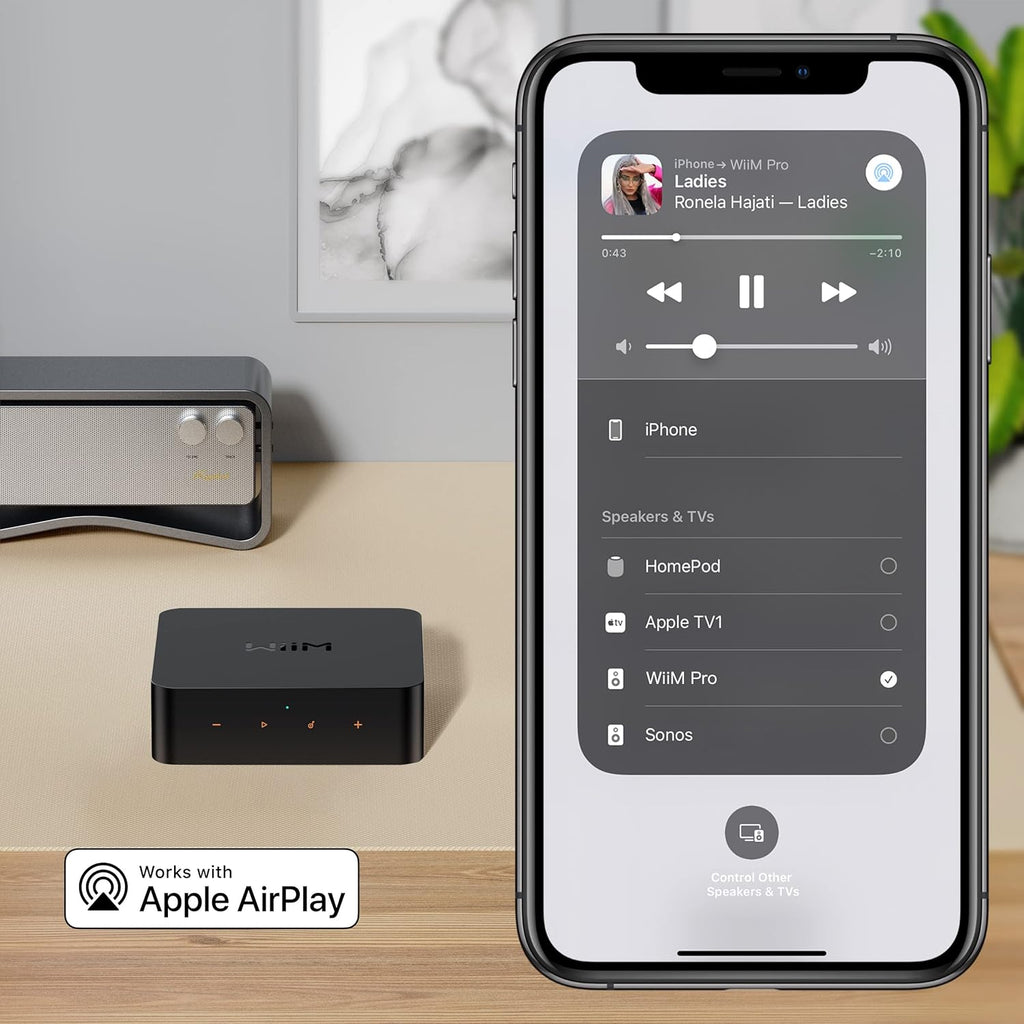 WiiM Pro AirPlay 2 Receiver, Google Cast Audio, WiFi Multiroom Streamer, Compatible with Alexa, Siri and Google Assistant, Stream Hi-Res Audio from Spotify, Amazon Music, Tidal and More