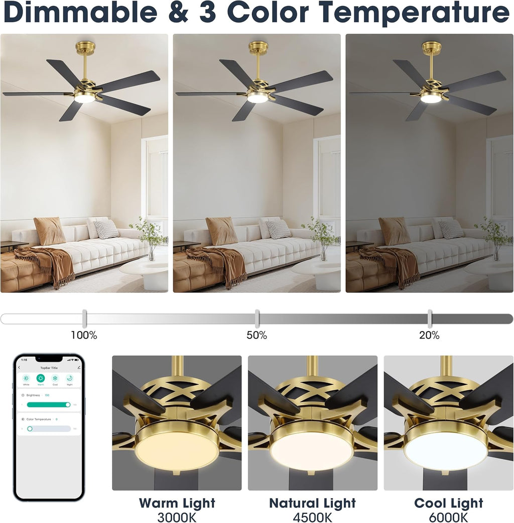 WINGBO 60" Smart Ceiling Fan with Lights and 3 Downrods, 5 Plywood Blades, 6 Speeds Reversible DC Motor, Works with Alexa and Google Assistant, 3CCT Dimmable LED Large Ceiling Fans, Brass and Black