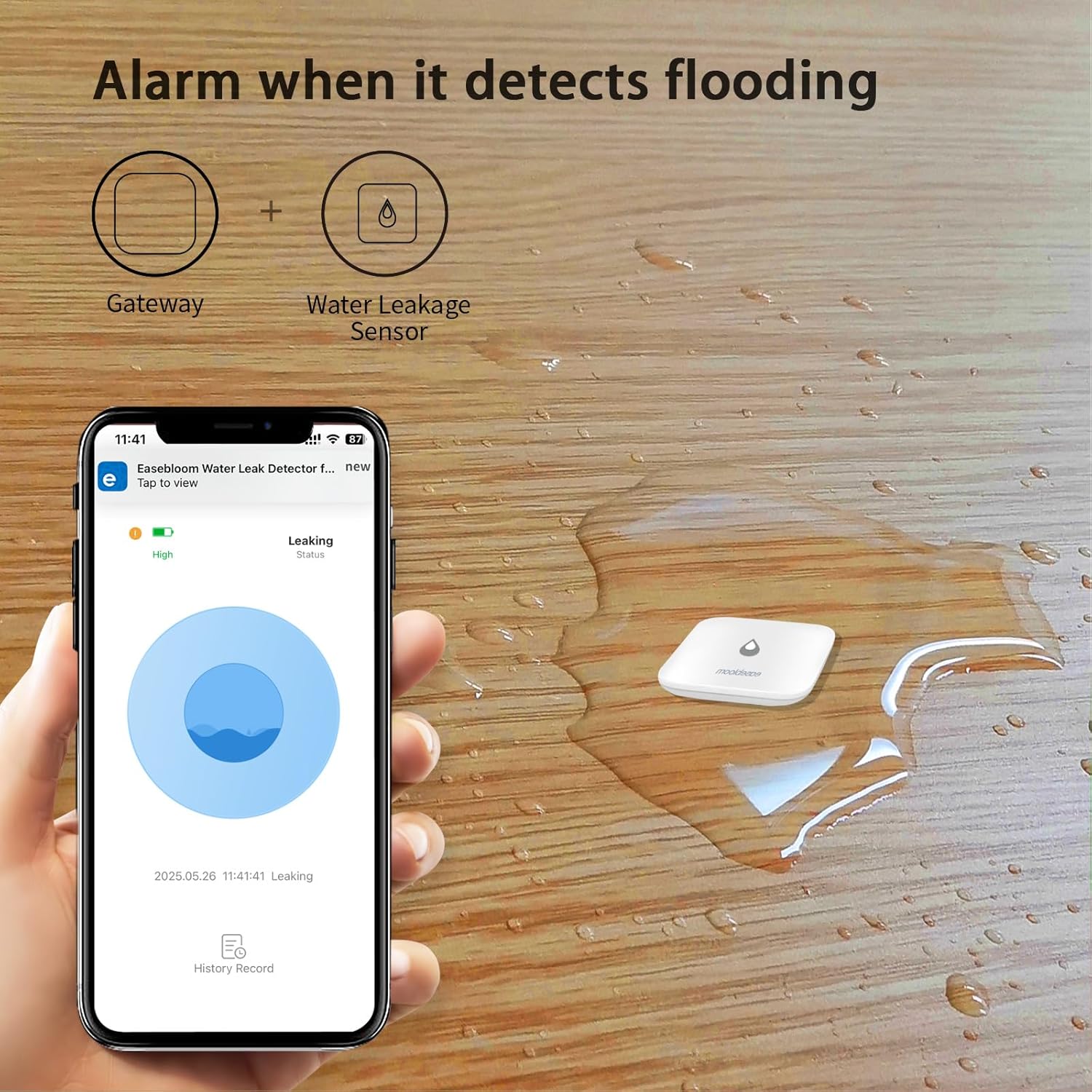 Water Leak Detector for Home - Hub & Mini Water Leak Sensor 4-Pack,App Notifications,Sensors for Kitchen/Bathroom,Smart Water Leak Sensor