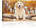 Custom Canvas Prints with Your Photos Personalized Photo Canvas Print Wall Art Customized Canvas Picture Frame Gifts for Pet Baby Family Mom Dad Men Women Couple Boyfriend Girlfriend Framed 32x24