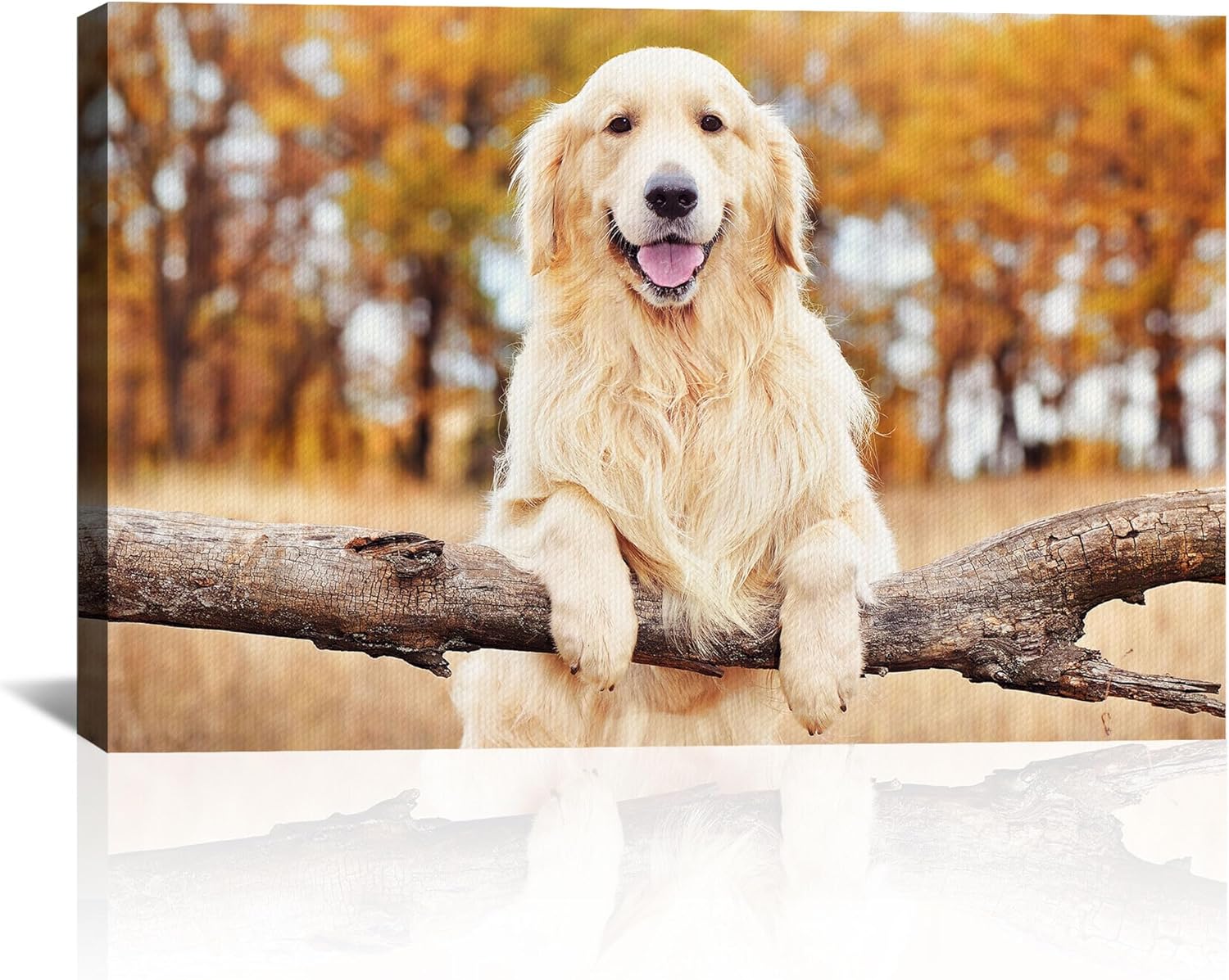 Custom Canvas Prints with Your Photos Personalized Photo Canvas Print Wall Art Customized Canvas Picture Frame Gifts for Pet Baby Family Mom Dad Men Women Couple Boyfriend Girlfriend Framed 36x24