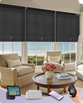 Graywind Smart Coupled Roller Shades Compatible with Alexa Google Custom Size Extra Large Motorized Blinds for Windows(5% Openess Black)