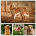 LZIMU Collage Canvas Prints with Your Photos Personalized Multi Pictures for Wall Custom Family Wedding Baby Pet Dog Photo to Canvas Customized Gifts Home Wall Decor (Collage Photo-9, No frame)