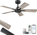 YOUKAIN Ceiling Fan No Light, 42 Inch Black Modern Ceiling Fans, Smart Ceiling Fan Works with Voice Control & Remote Control, Reversible Blades, Outdoor Ceiling Fans for Living room, 42-YJ812-BK-NL