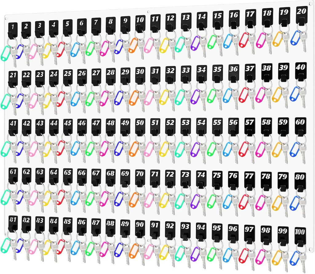 Acrylic Key Board with 100 No. Hooks Wall Mount Key Rack Holder Hanger Storage Collection for School, Garage, Car Dealer, Office, Hotel, Real Estate(Transparent)
