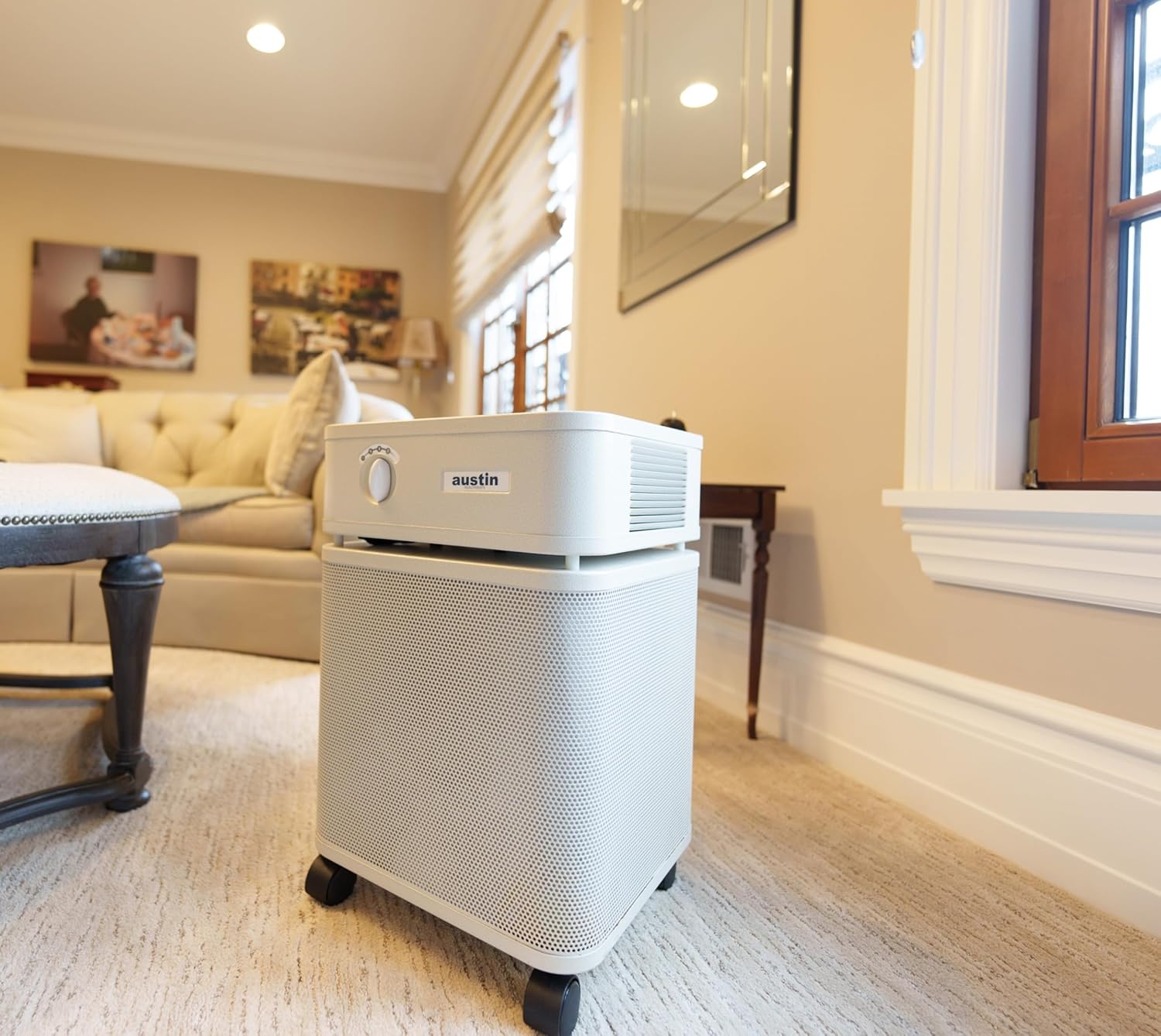 Austin Air HealthMate Plus Air Purifier - Advanced 4- Stage Filtration Air Purifiers For Home with Activated Carbon & Zeolite - Ideal as Air Purifiers for Bedroom or any Large room, Model B450