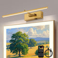 Battery Operated Picture Light with Wireless Remote 3CCT Dimmable Gold Wall Art Lights for Paintings 3 Color Rechargeable cordless decor Gallery Light 16’‘ Artwork Lighting for Canvas Timer Function