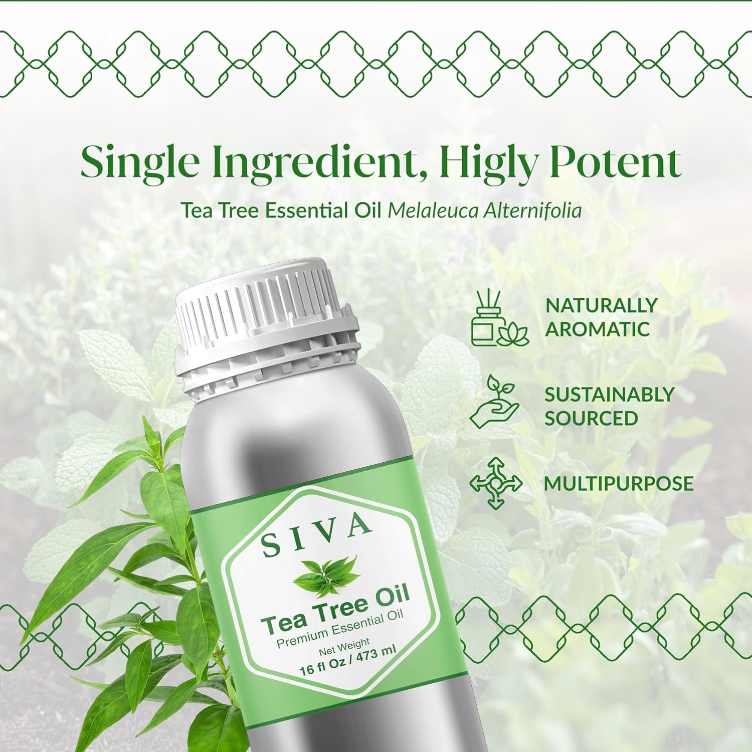 Siva Tea Tree Essential Oil - 16 Fl Oz – 100% Natural Tea Tree Oil - for Diffuser, Face, Skin Care, Aromatherapy, Hair Care, Scalp and Body Massage