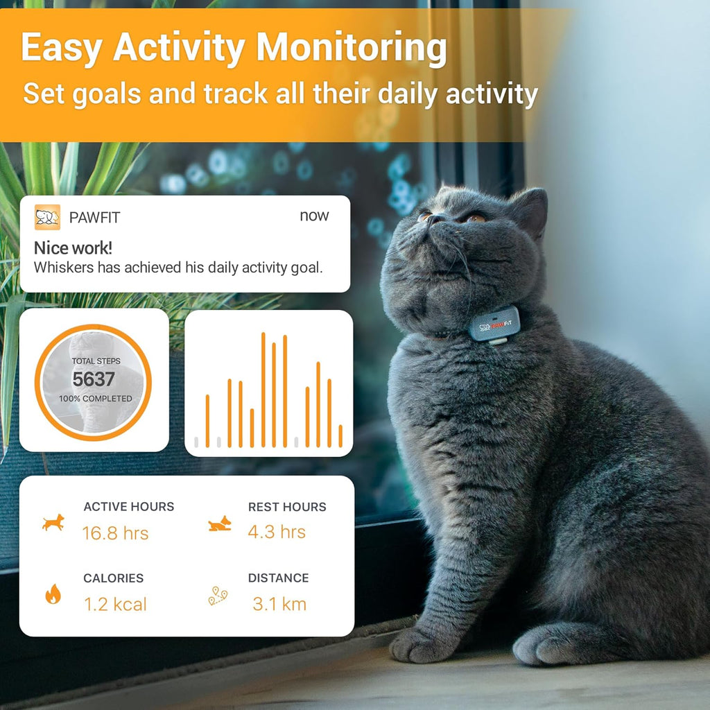 Pawfit Lite for Cats 4g GPS Tracker | Ultra-Small (<18g) Design | Real-Time Tracking | Activity Monitoring | Location History | Unlimited Range | Safety Collar Included | Lilac Grey