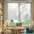 Yoolax Motorized Blinds with Remote, Light Filtering Smart Blinds Compatible with Alexa Google Home, Automatic Roller Shades for Indoor Windows Living Room, Custom Size (Semi Sheer Starlight White)