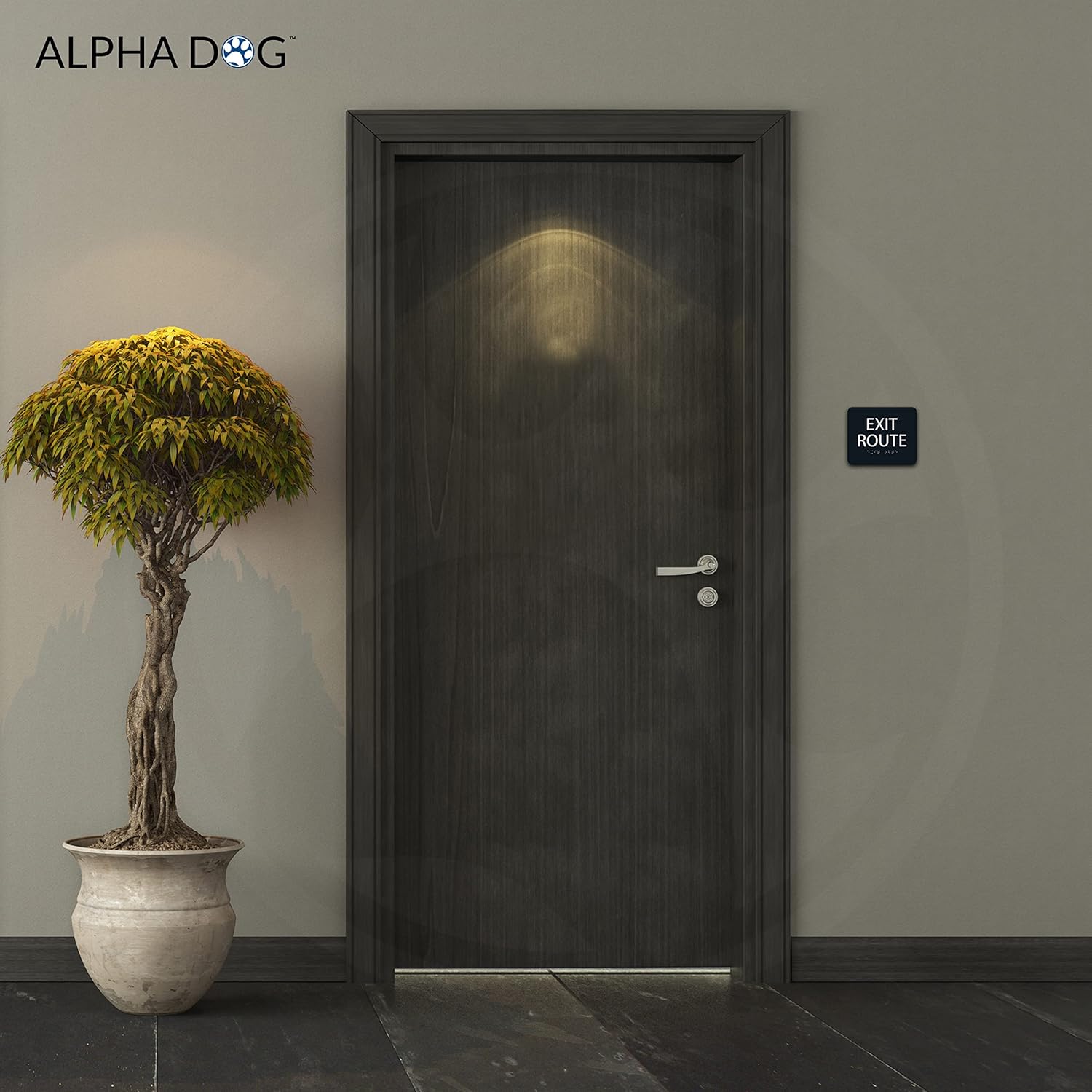 ALPHA DOG ADA SIGNS - Exit Route Sign with Braille for Your Business, 5x6 Inch, ADA Compliant, Indoor or Outdoor, Easy Installation, Made in the USA, Black