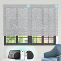 Motorized Blinds with Remote Custom Size Blackout Smart Roller Shades Compatible with Alexa Google, Electric Blinds for Windows