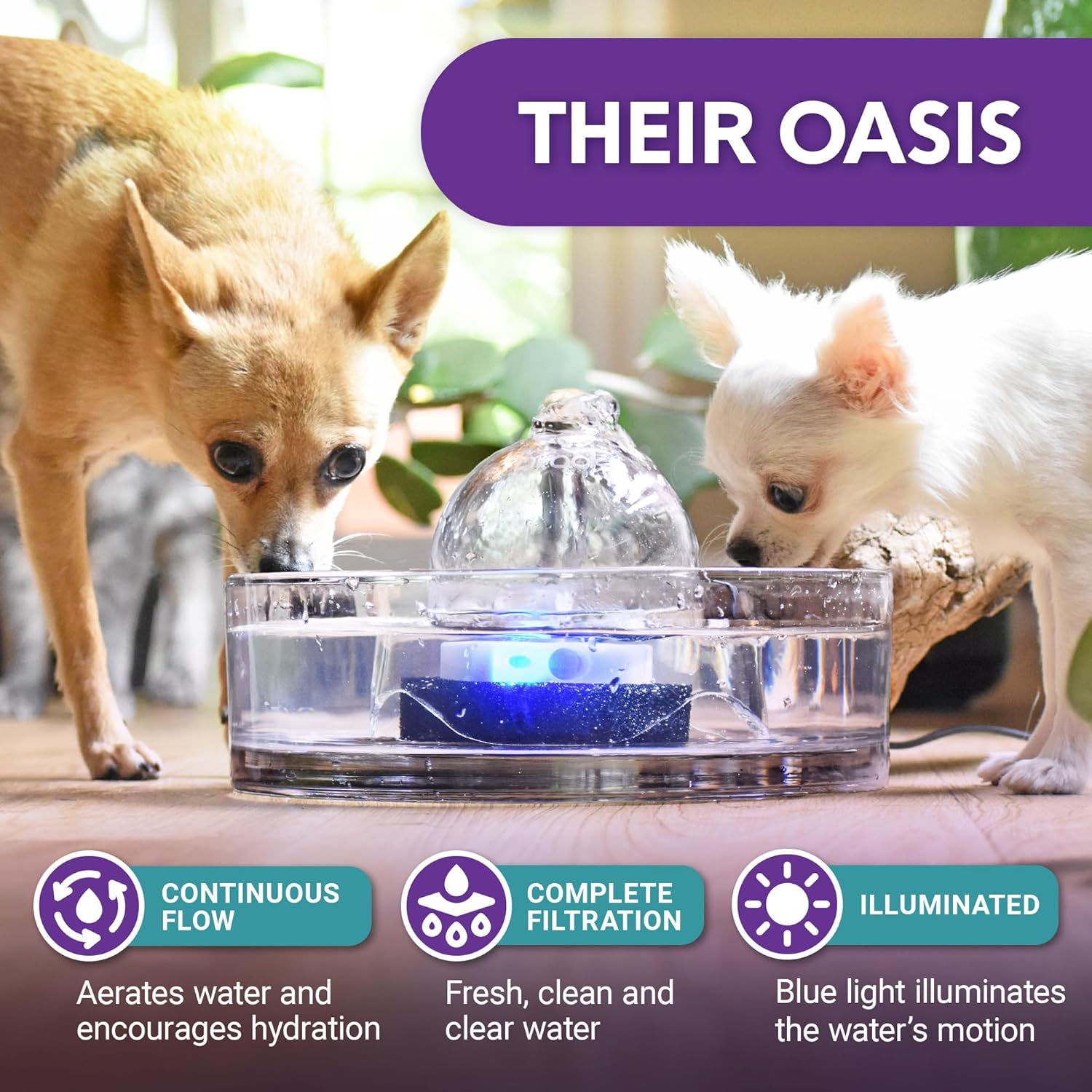 Brook Glass Pet Fountain (90oz/2.7L) – Cat & Dog Water Fountain – Glass Cat Fountain & Automatic Water Dispenser for Drinking