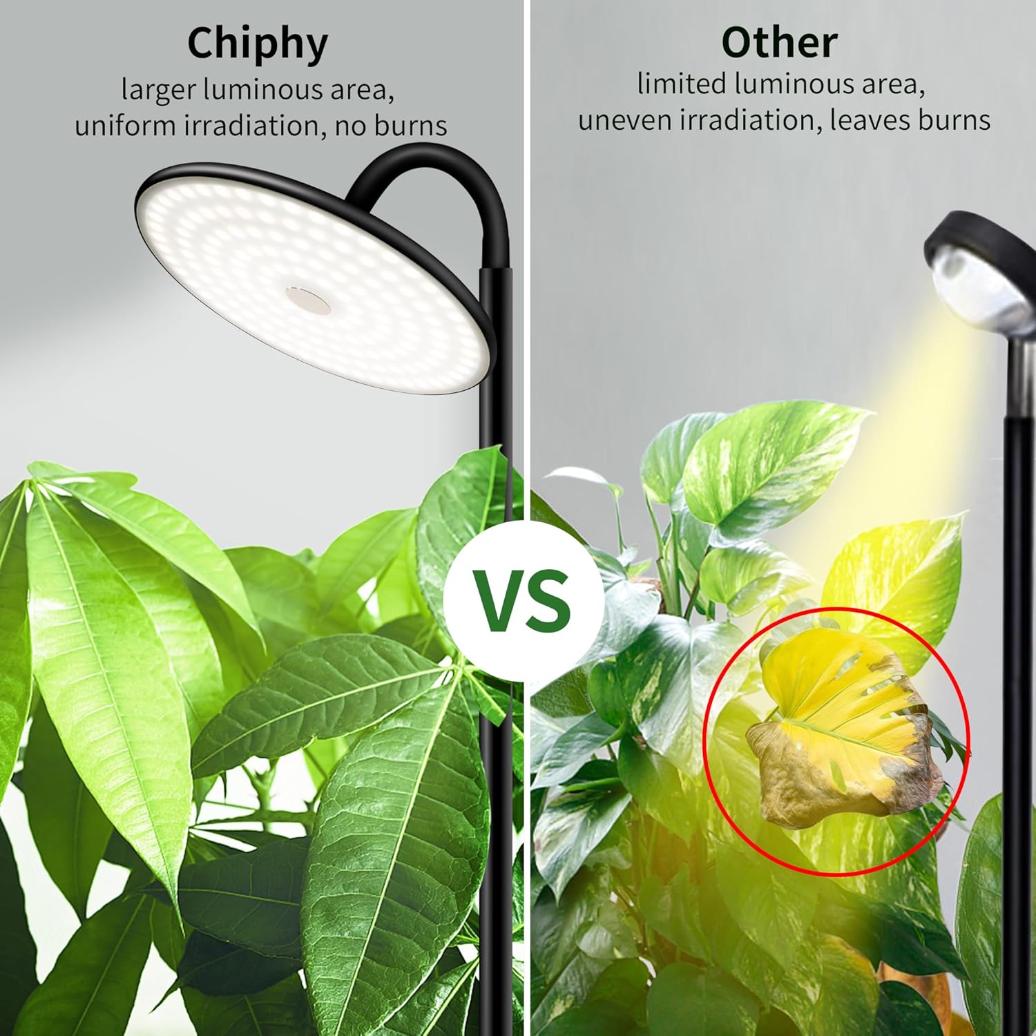 chiphy Grow Lights, 60W Full Spectrum Tall Plant Light for Indoor Plants, 10 Dimmable Brightness, Height Adjustable, Ideal for Large Tall Plants