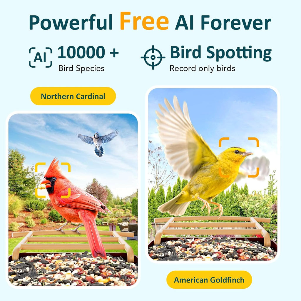 BIRDLEGEND® Bird Feeder with Camera Solar Powered, 2K Portrait Live Free AI Forever Instant Arrival Alerts with 64GB Card, Smart Camera Birds Feeders Wireless Outdoor Gift for Bird Lover, 2.4G WiFi