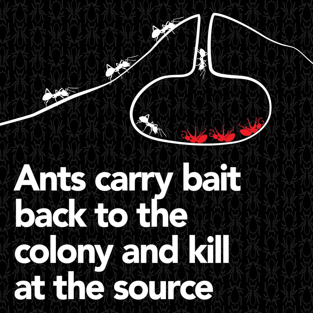 Raid Max Liquid Ant Bait; Kills Ants Where They Breed, for Indoor and Outdoor Use; 8 Bait Stations