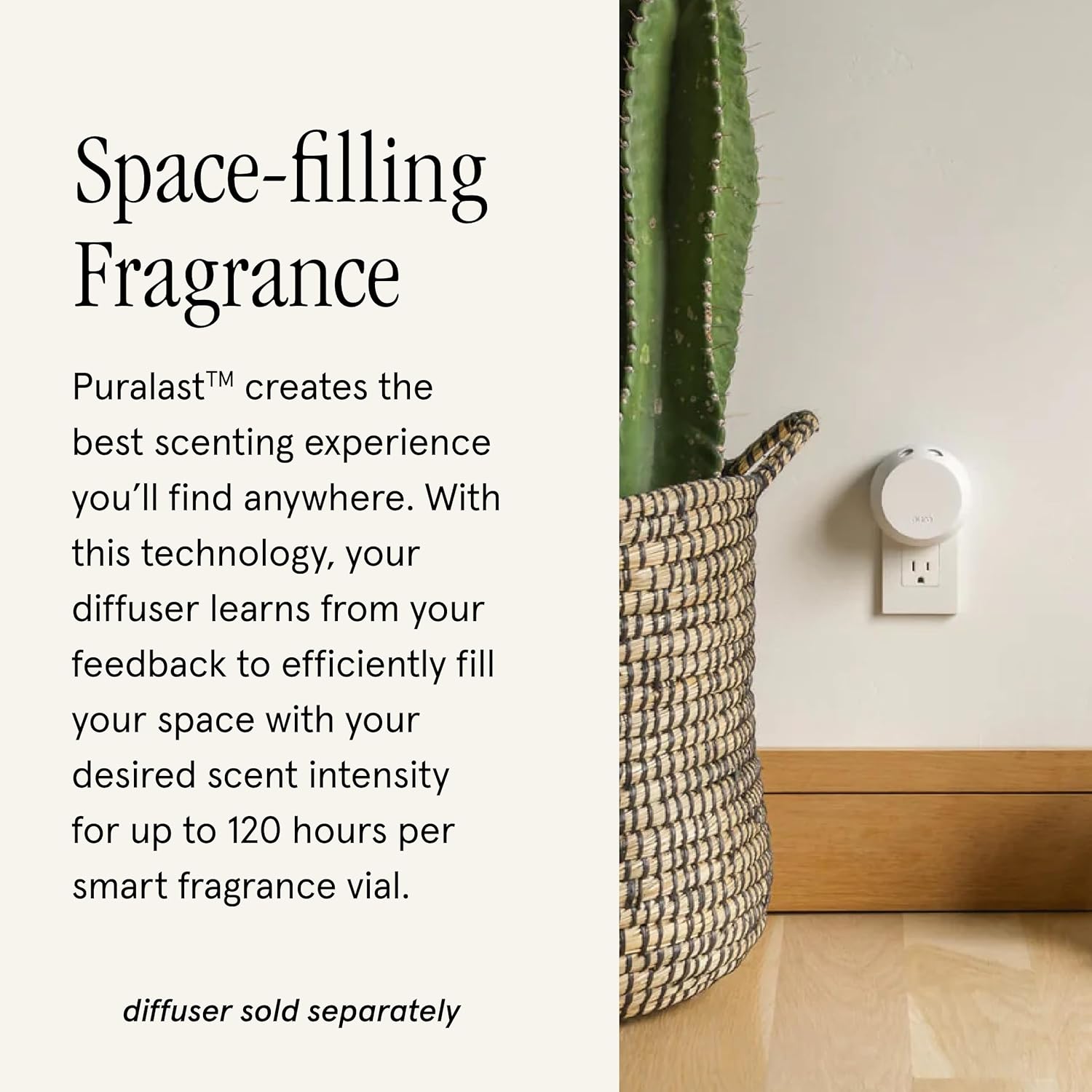 Pura & Paddywax Home Scent Refill - Smart Home Air Diffuser - Up to 120-Hours of Luxury Fragrance per Refill - Home Essential - Clean & Safe Diffuser Fragrance - 2 Pack, Pomegranate Spruce