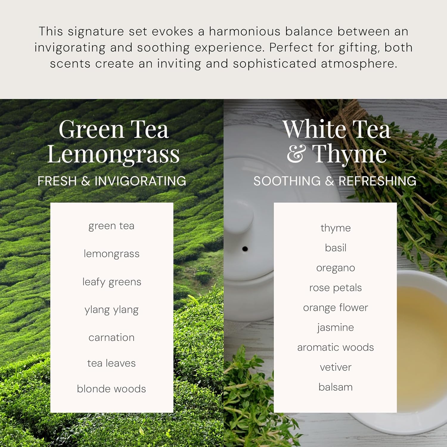 Air Esscentials The Diamond Gift Set, Smart Scent Air Machine for Home with Refreshing Herbal & Citrus Aromas, Waterless Fragrance Oil Diffuser, White Tea & Thyme, Green Tea Lemongrass, Black
