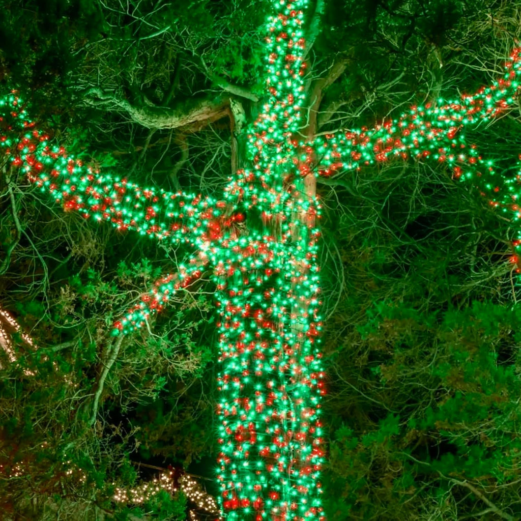 75.8 FT 200 LED Red and Green Christmas Lights Indoor Outdoor, Timer & Memory Function & 8 Modes, Extendable Green Wire, Waterproof Fairy Twinkle String Light for Xmas Tree Holiday Party Garden Yard