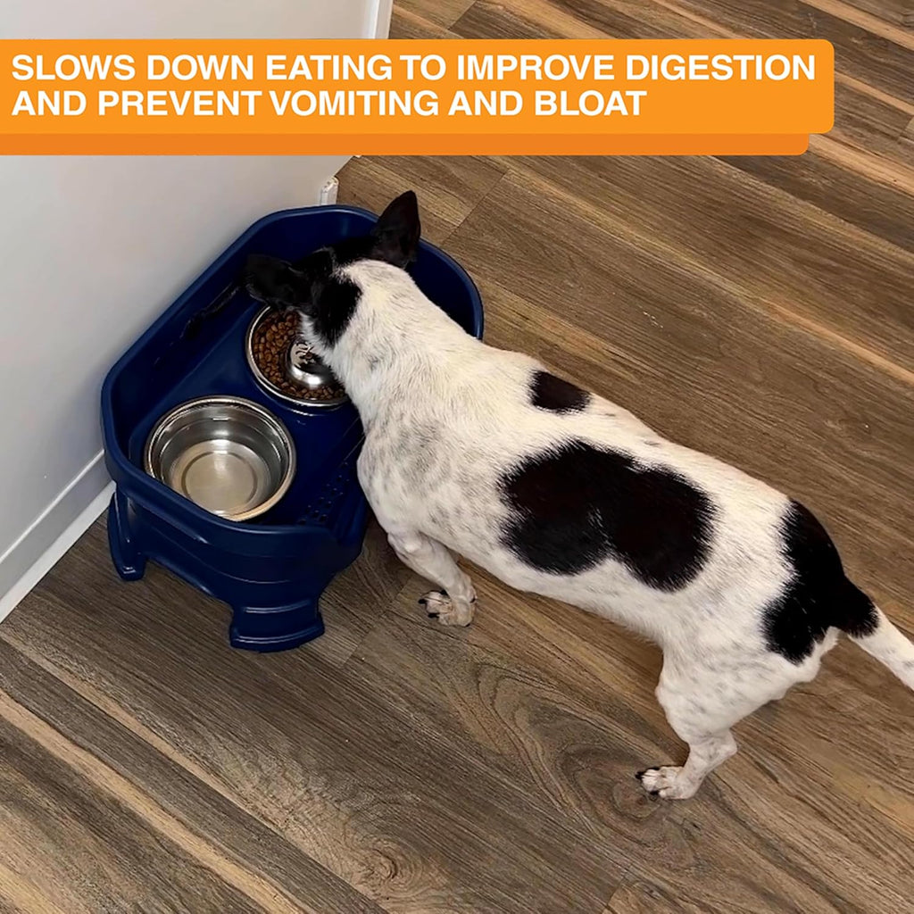 Neater Pet Brands Stainless Steel Slow Feed Dog Bowl for Fast Eating Small Breeds, Metal Slow Feeder Dog Bowl Fits in Cat & Small Neater Feeders, for Puppy or Dogs (< 15 lbs), 3/4 Cup Food Capacity