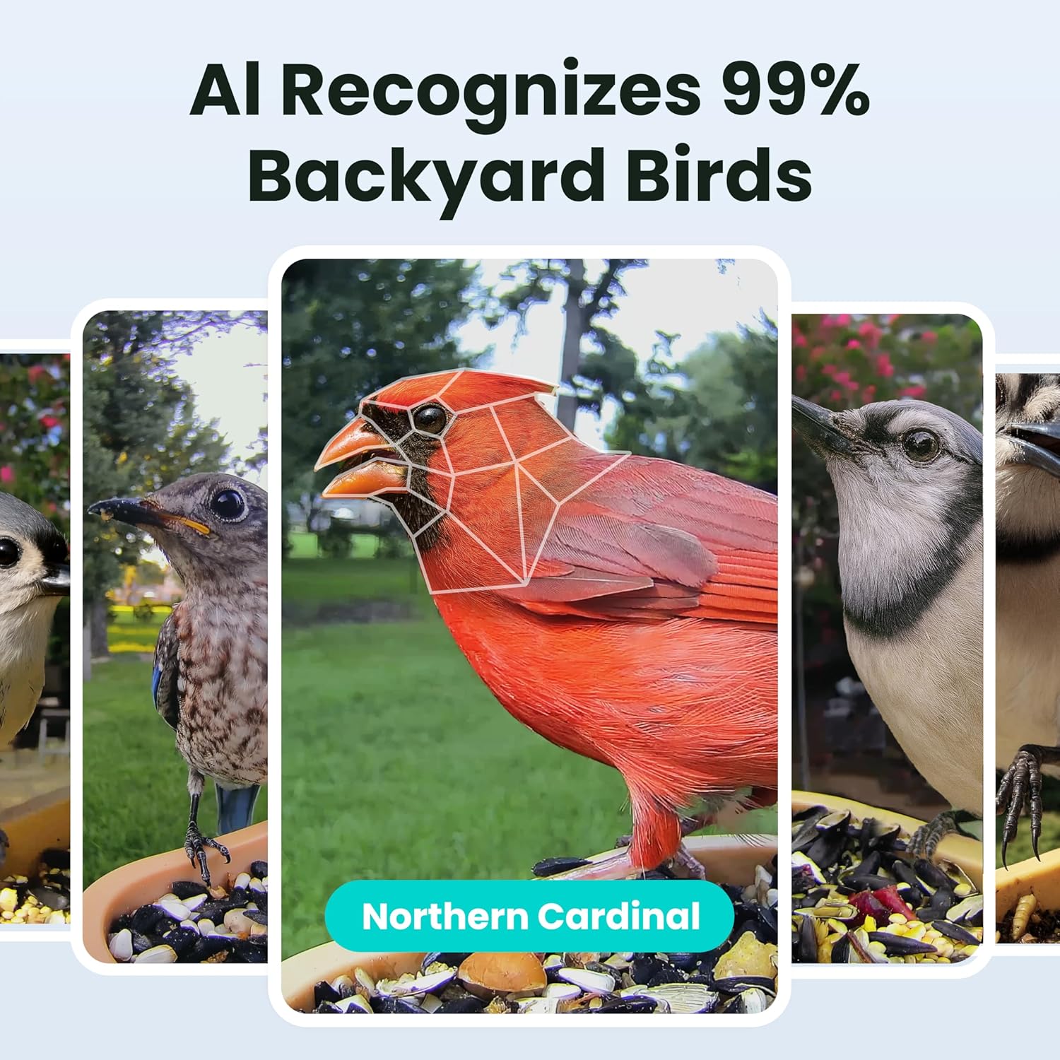Birdfy Smart Bird Feeder with Camera for Rookie, Camera Bird Feeder Dual Night Vision, AI Recognition IP66 Waterproof for BirdLovers, 1.3L Capacity (AI by Subscription)